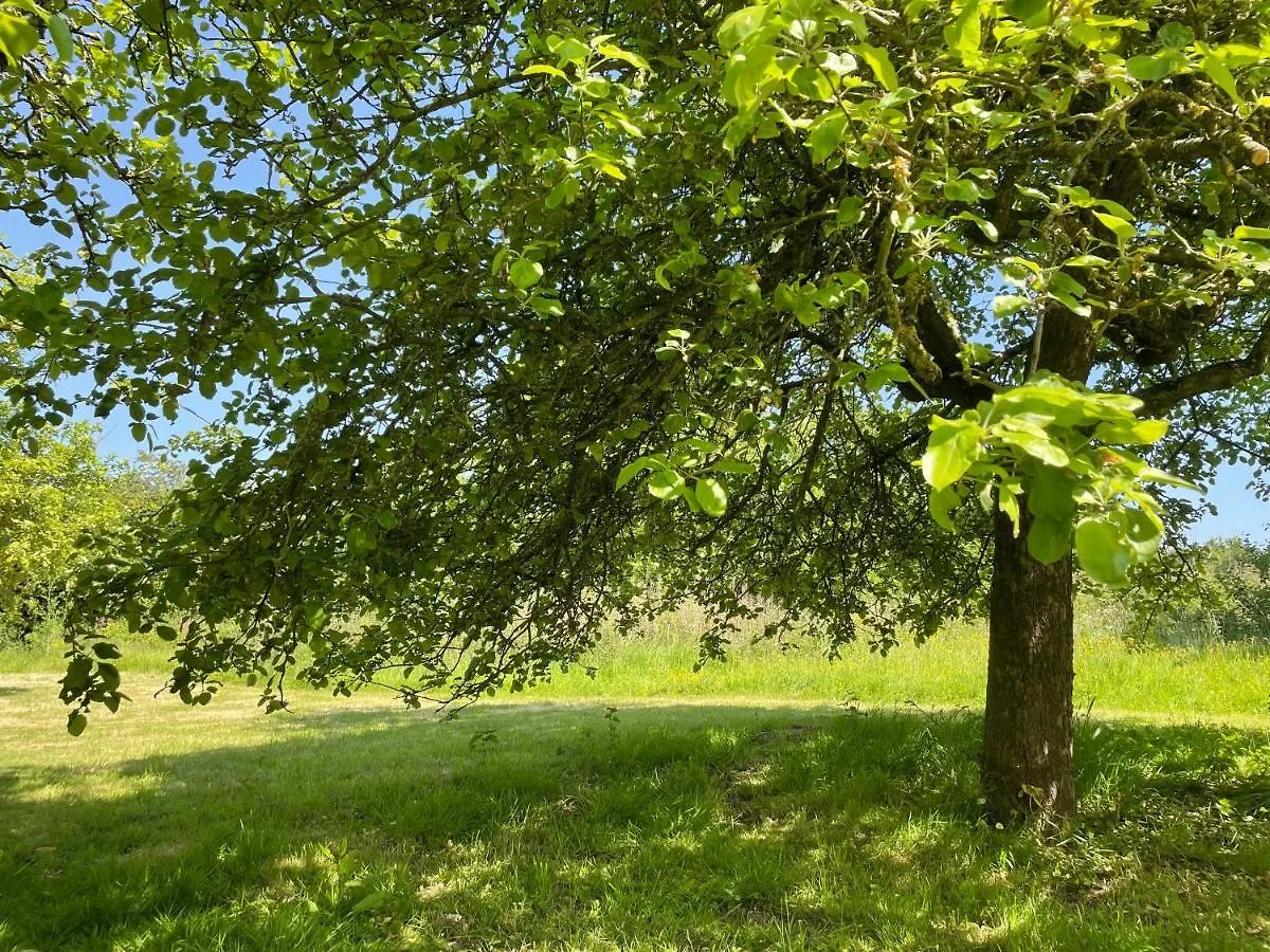 Ashclyst Farm Rural Retreat Villa Exeter Holiday home